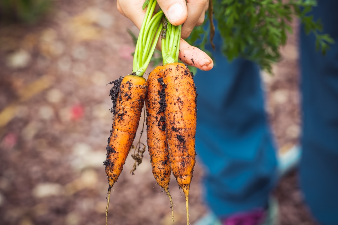 Tervisliku veganluse alused