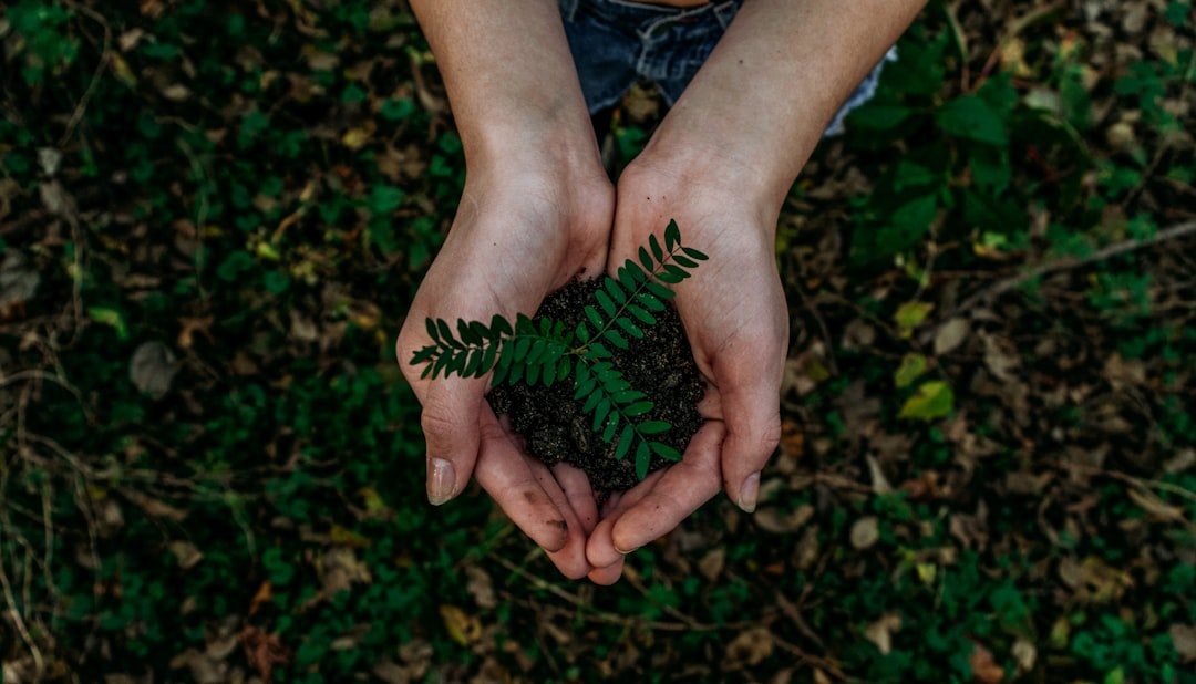 Vegansportlase toitumine